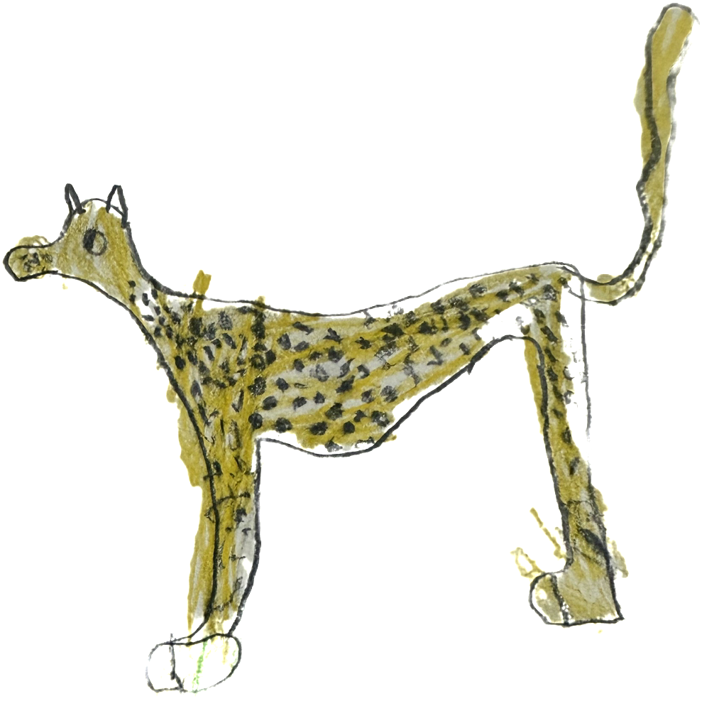 Cheetha 1 Cheetha 1